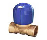 "GUIDI NON-STICK VALVE    1/2"""