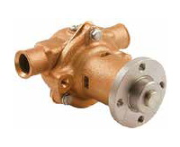 "SHERWOOD DENİZ SUYU POMPASI K75B   1"""