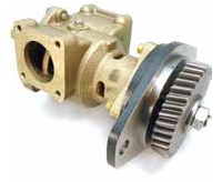 "SHERWOOD DENİZ SUYU POMPASI P1730C     2"""